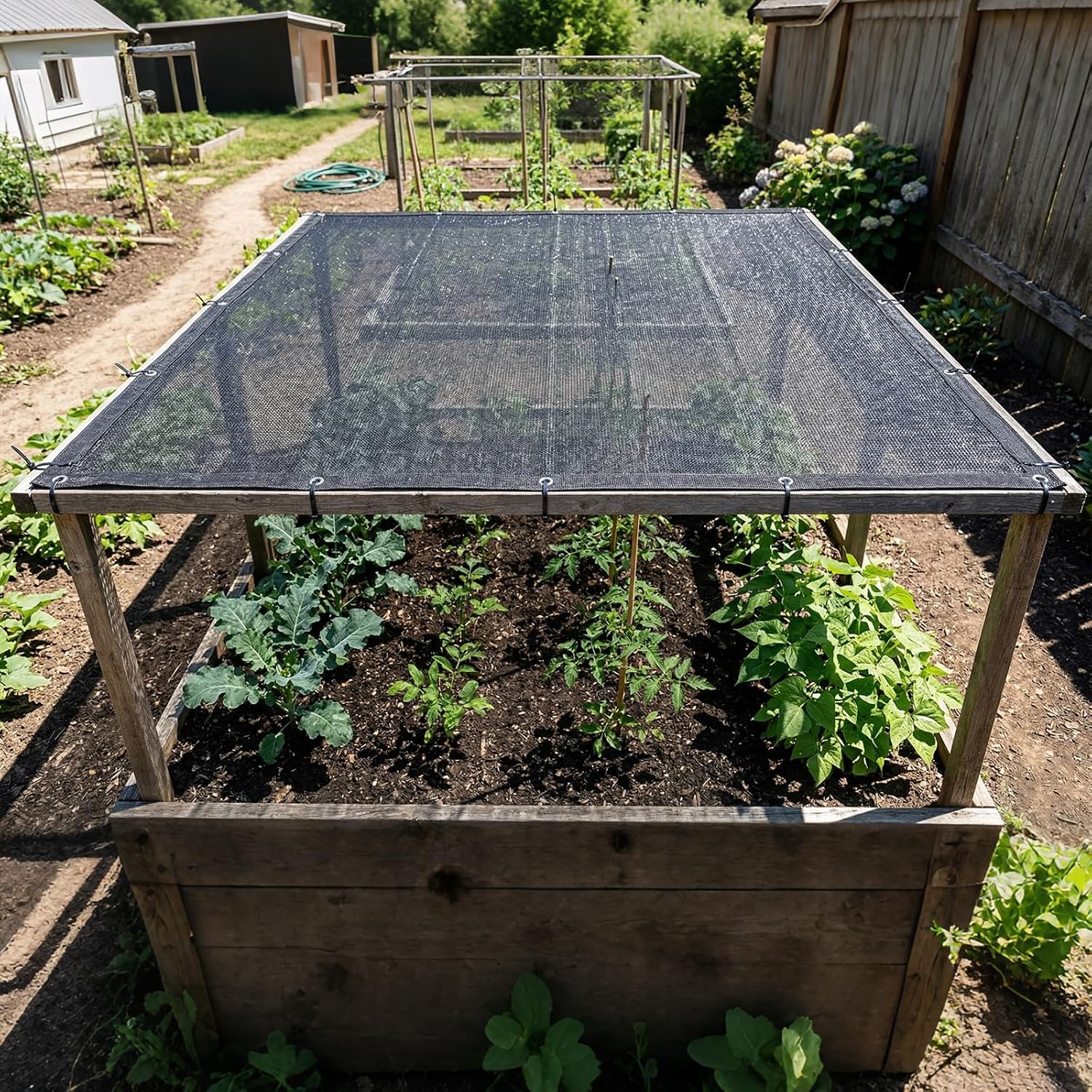 Amgo 50% Black Shade Cloth, 8FT x 12FT Mesh Tarp, Black Sun Shade Netting with HDPE Material and Heavy Duty Grommets Shade for Greenhouse, Garden, Patio Plants, Pergola (We Make Custom Size)