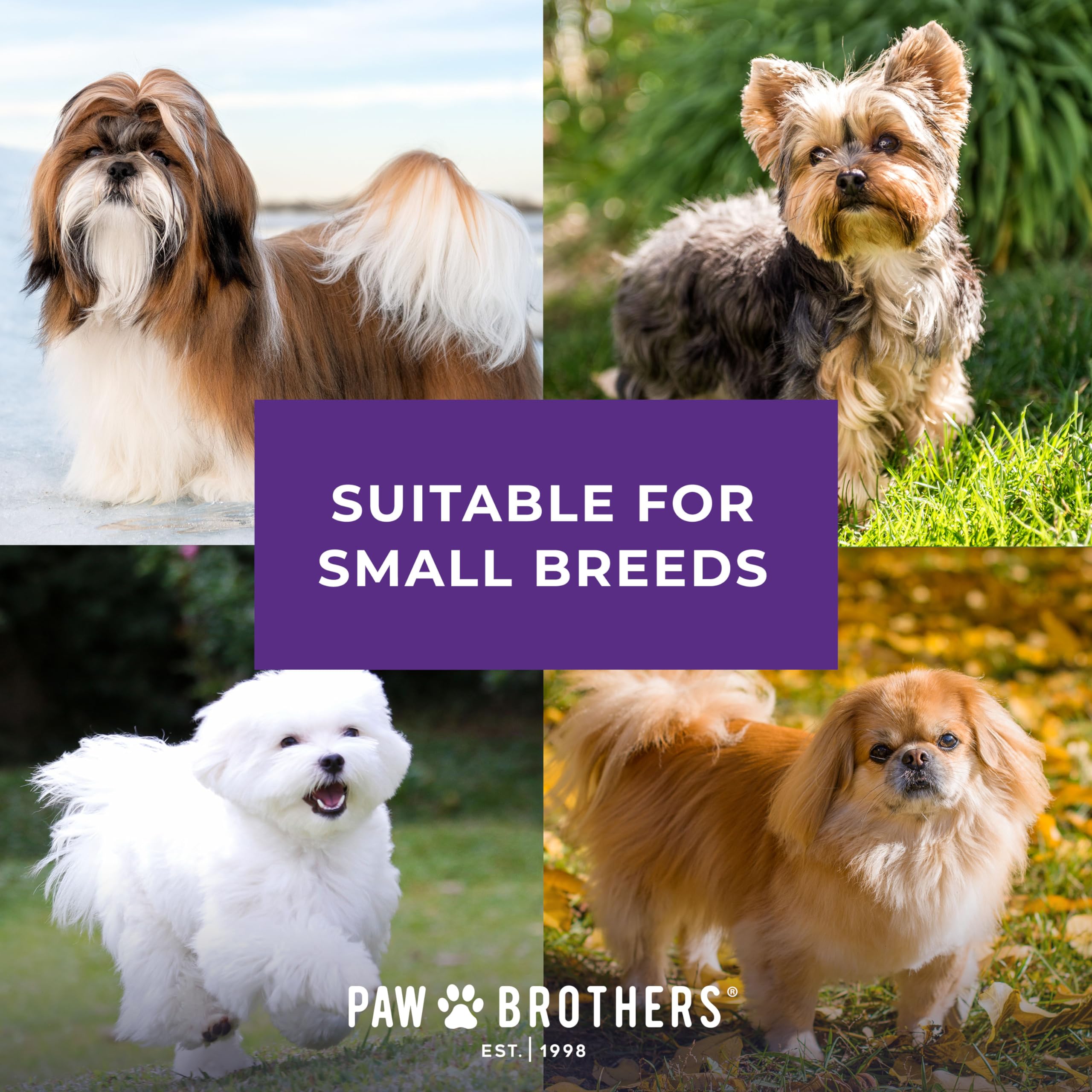 Paw Brothers miękka płaska szczotka z powlekanymi końcówkami, mini/mała