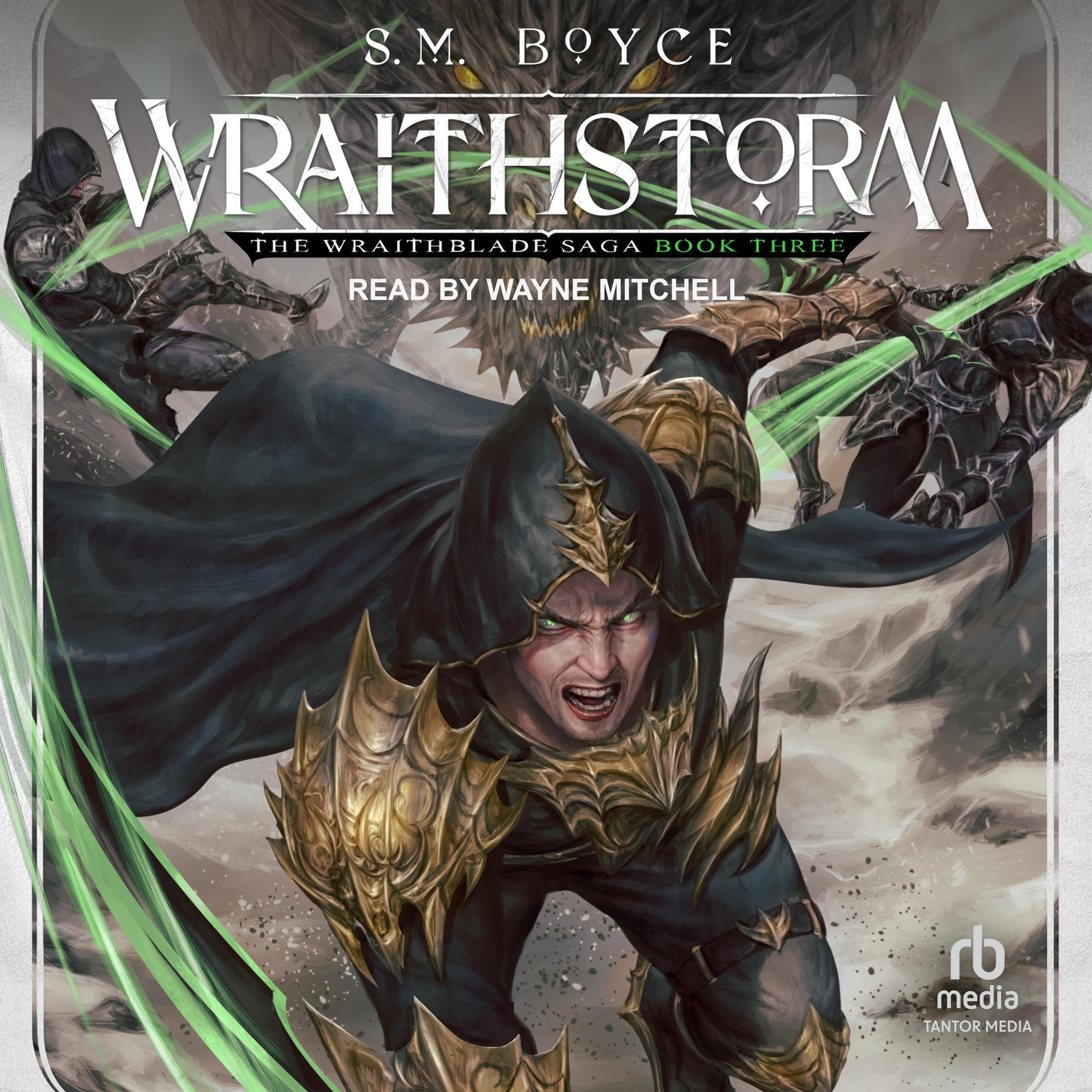 Cover art for Wraithstorm
