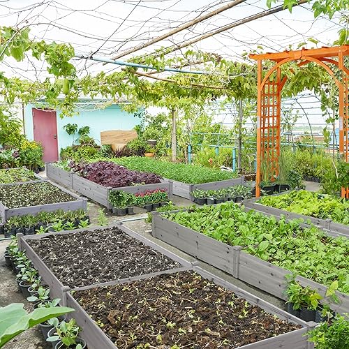 Miniatura 5 de Yaheetech Jardinera elevada de madera para horticultura de 8 x 4 pies, maceta elevada divisible para flores, verduras, hierbas en patio trasero,