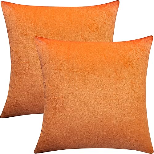 BEDSUM Juego de 2 fundas de almohada cuadradas de terciopelo decorativas, lujosas fundas de cojín europeas de 18 x 18 pulgadas, fundas de almohada