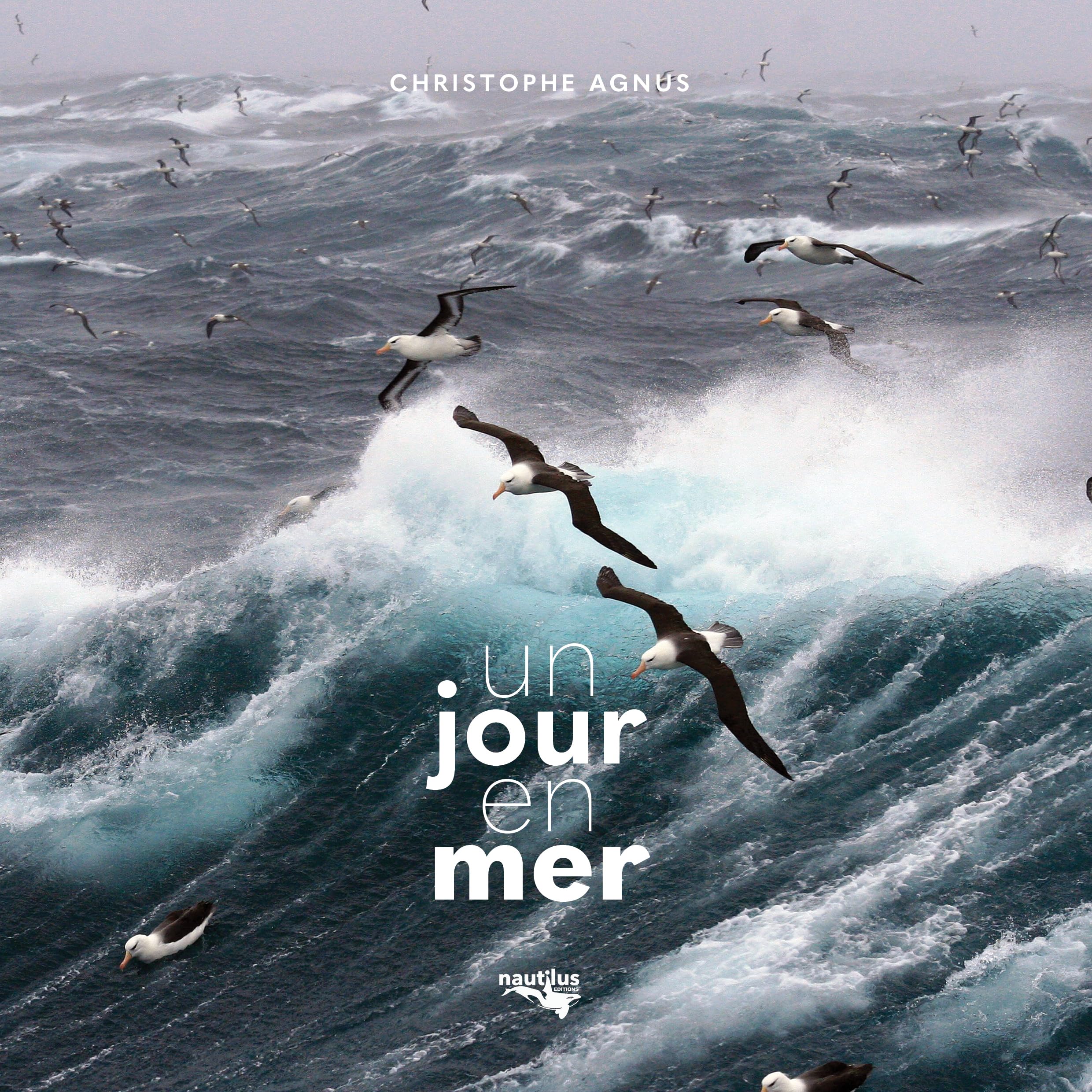 Un jour en mer tableau évasion maritime et sérénité pour la maison