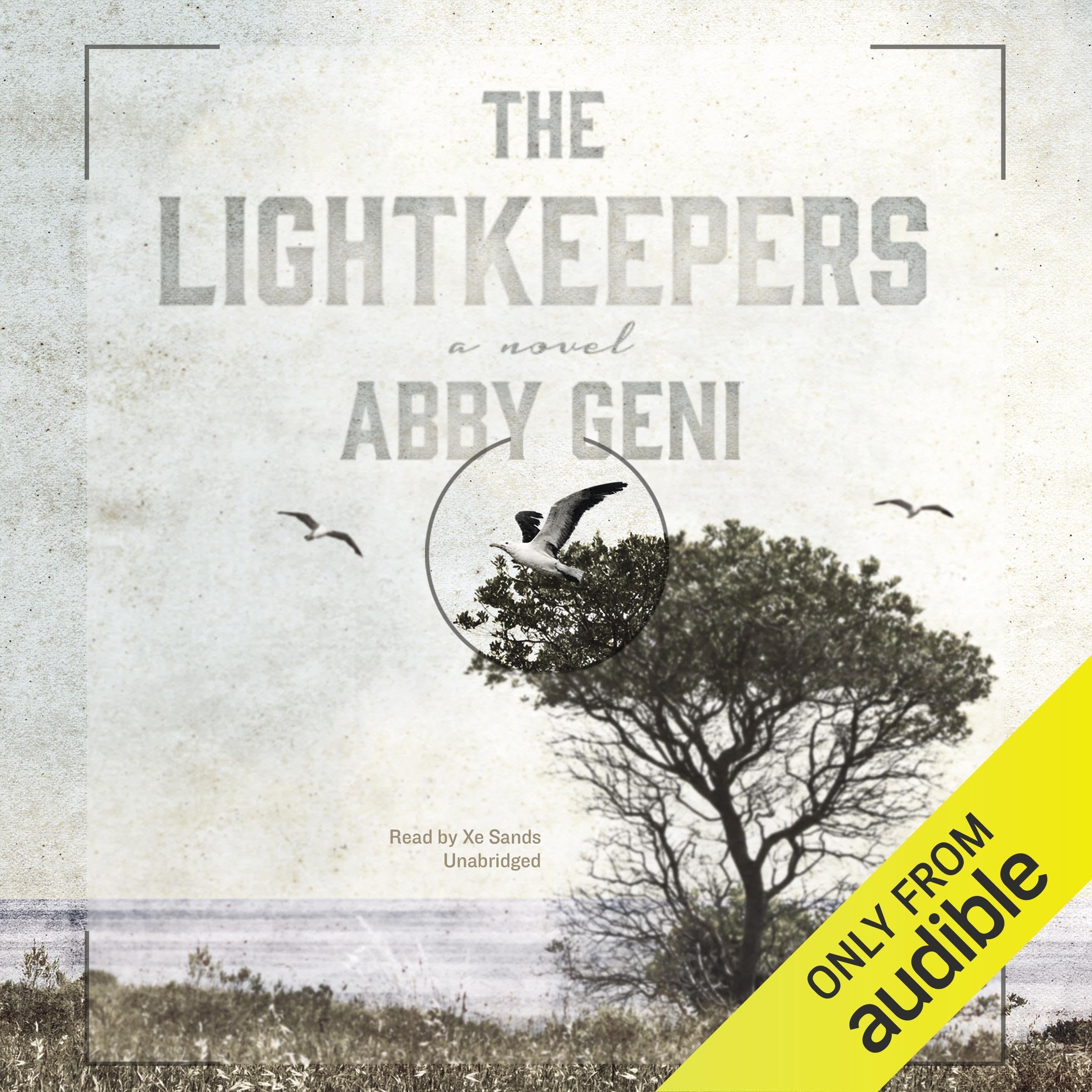 Cover art for The Lightkeepers