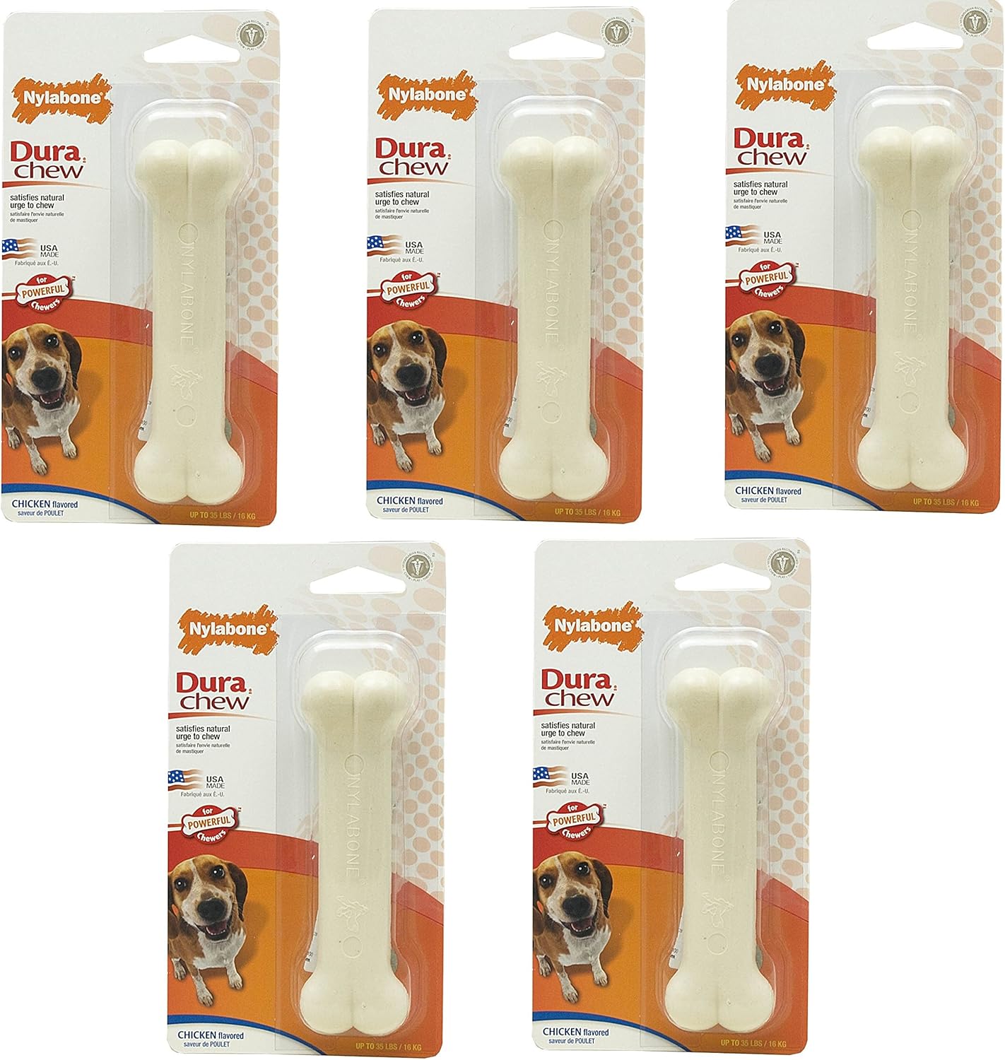 (5 Pack) Nylabone Dura Chew Wolf Chicken Flavored Bone Dog Chew Toys