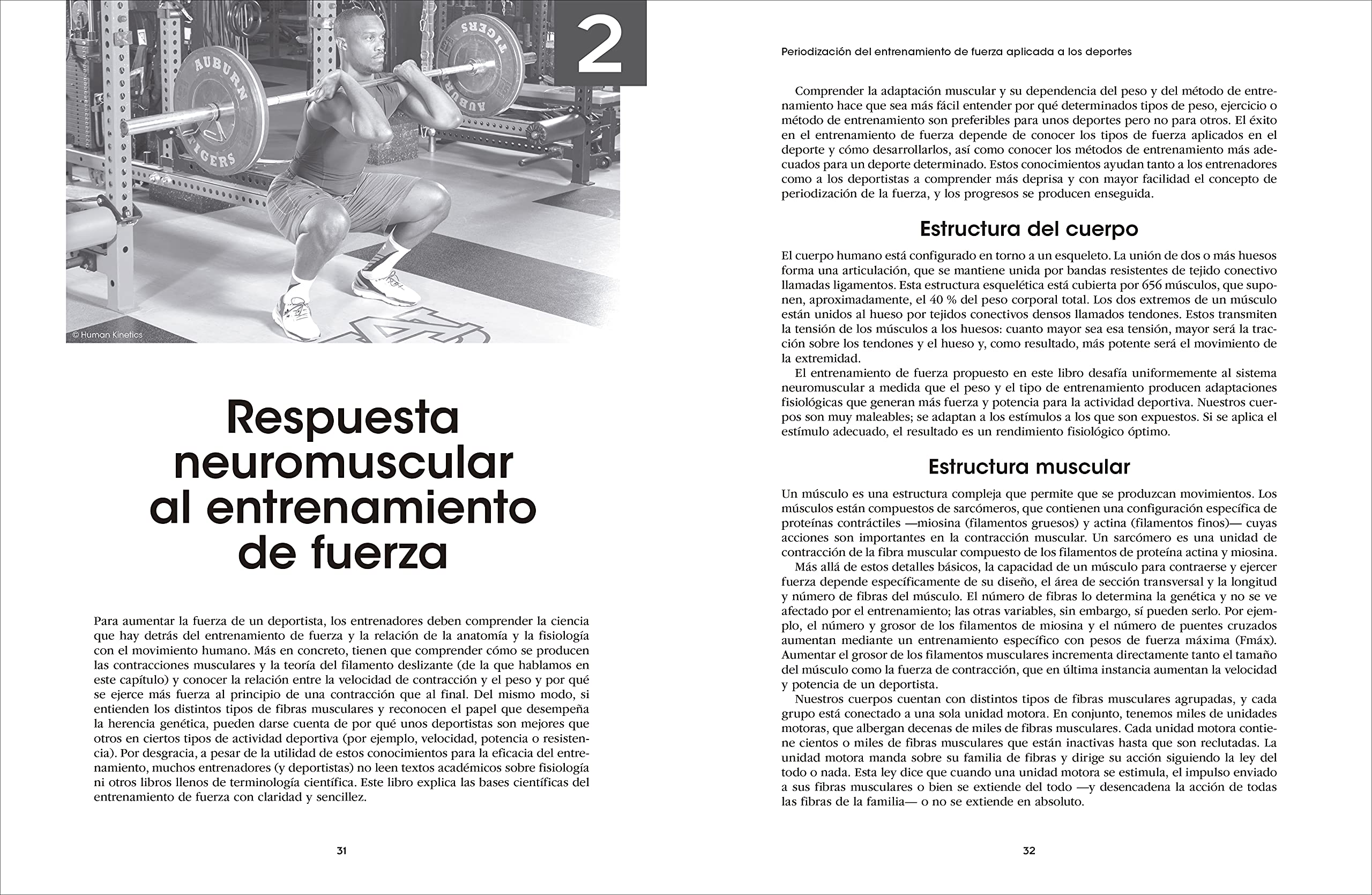 Periodización Del Entrenamiento De Fuerza Aplicada A Los Deportes