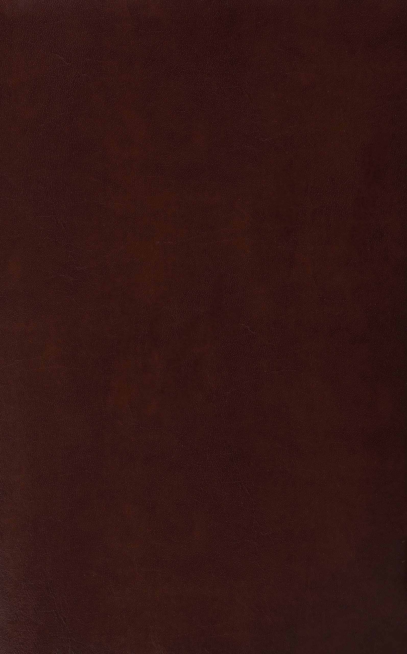 La Biblia de La Reforma-Rvc: Reina Valera Contemporanea, Biblia De Estudio
