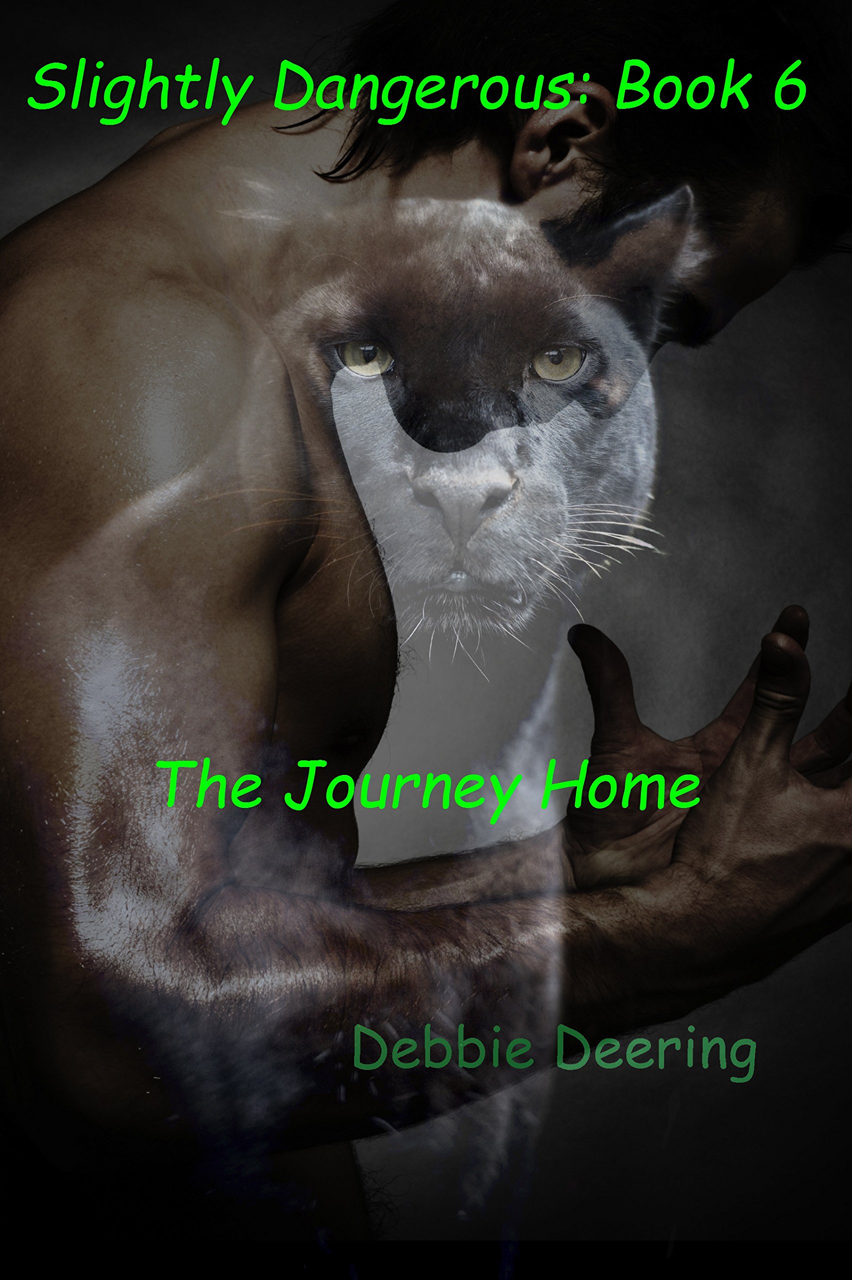 The Journey home (Slightly Dangerous Book 6)