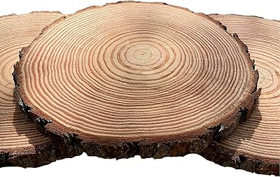 Set of (10) 9-10 inch Wood Slices for centerpieces! Wood Slice centerpieces, Wood Rounds, Tree Slices (9 inch)