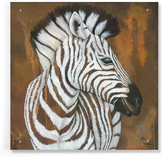 Epic Art 'Serengeti Rock Star' by Britt Hallowell, Acrylic Glass Wall Art, 24"x24"
