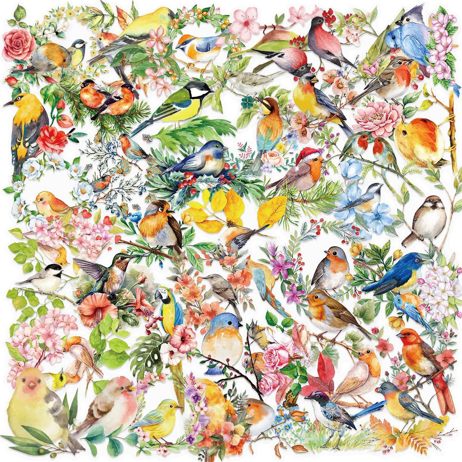 50 Sheets Luggage Sticker Scrapbook Sticker Watercolor Bird Graffiti Decorative Reward for Phone Vintage Bird Waterproof Stickers for Scrapbook