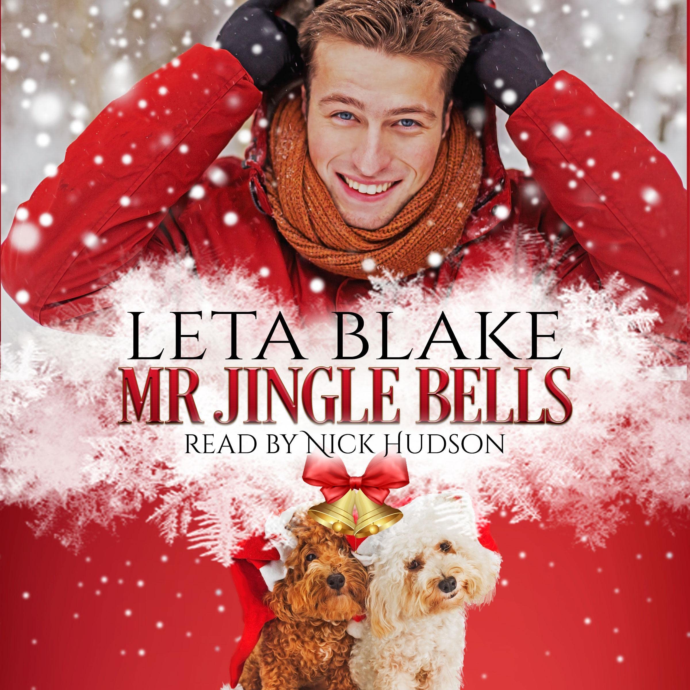 Cover art for Mr. Jingle Bells