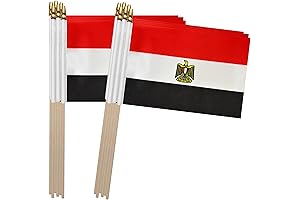TSMD Egypt 5x8 Inch Hand Held Flags