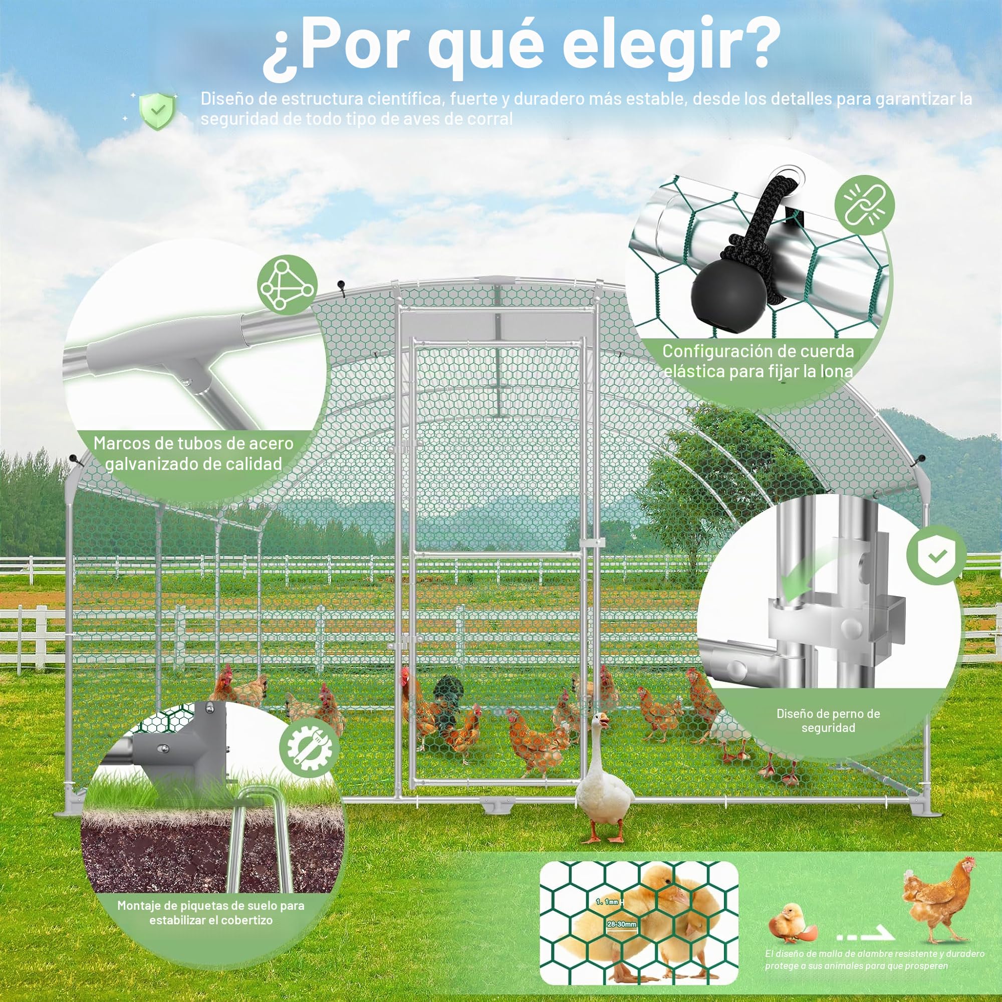 Jaula para gallinas y gallinero, de metal galvanizado, 3 x 8 m, resistente al invierno, con techo solar y cerradura, para animales pequeños y aves de corral