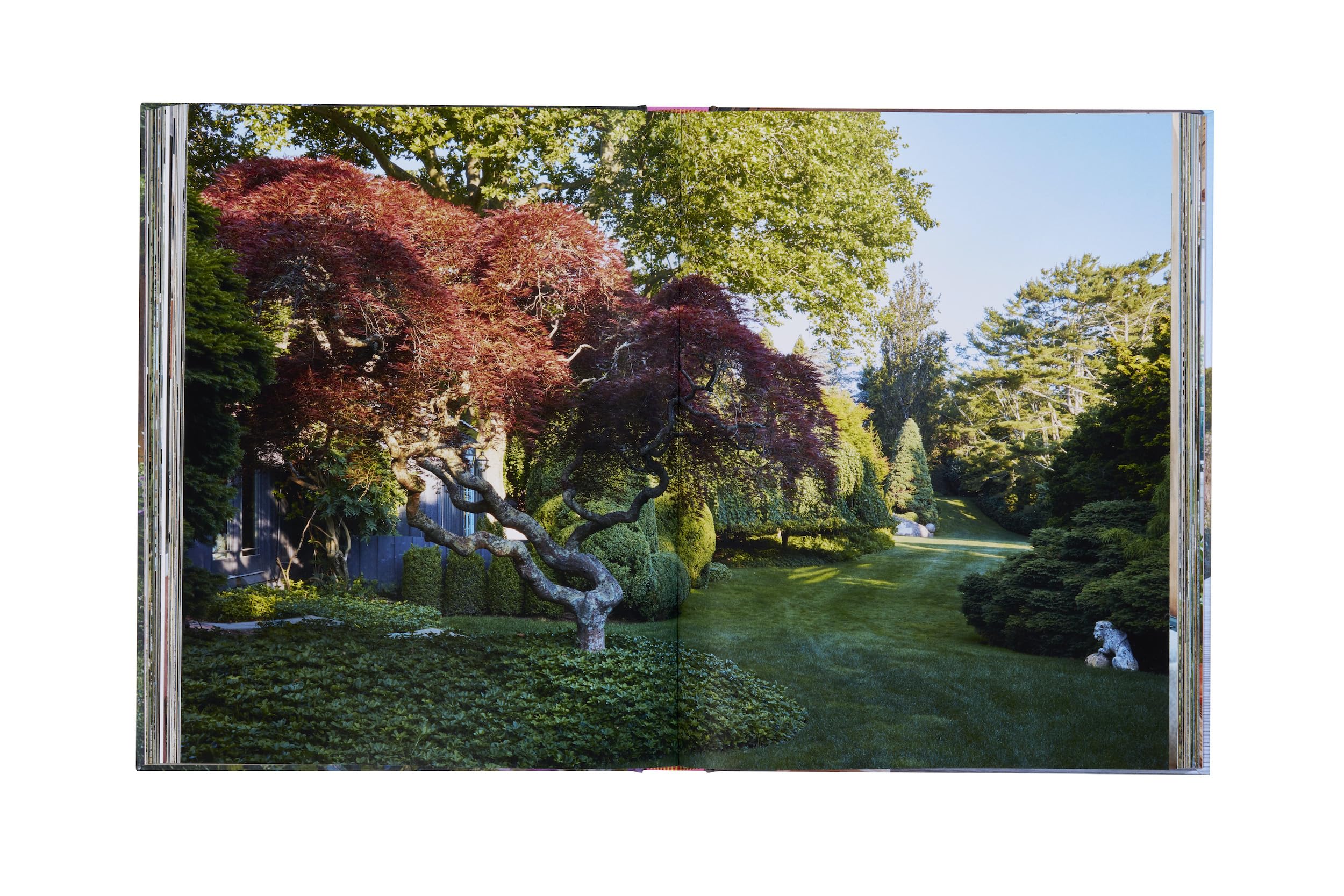 Inside the Hamptons (The Inside Series)