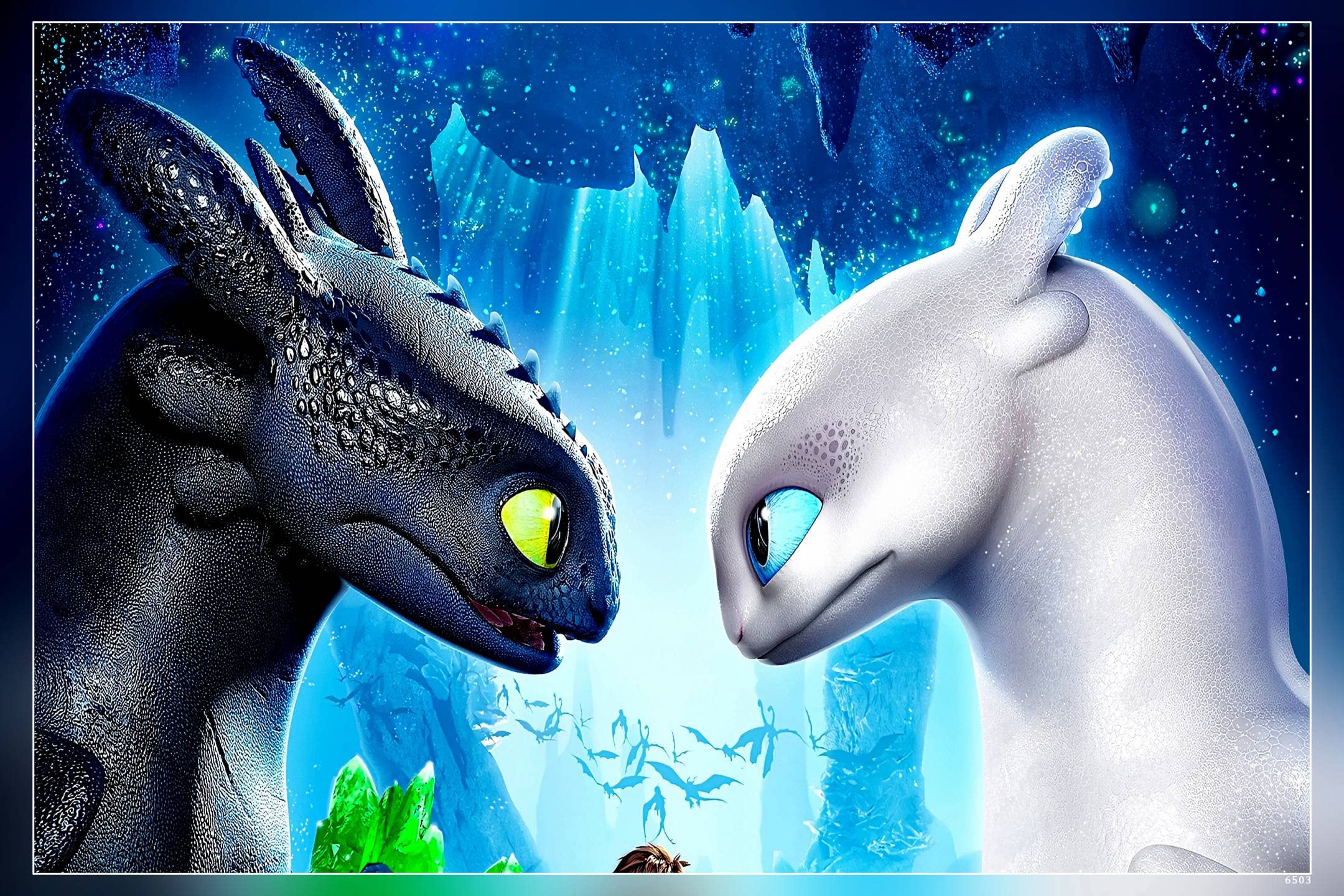 POSTERNEST Toothless With His Girlfirend Night Fury Poster Matte Finish Paper Print 12 x18 Inch (Multicolor) -6503