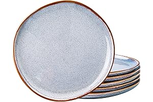 AmorArc Ceramic Dinner Plates