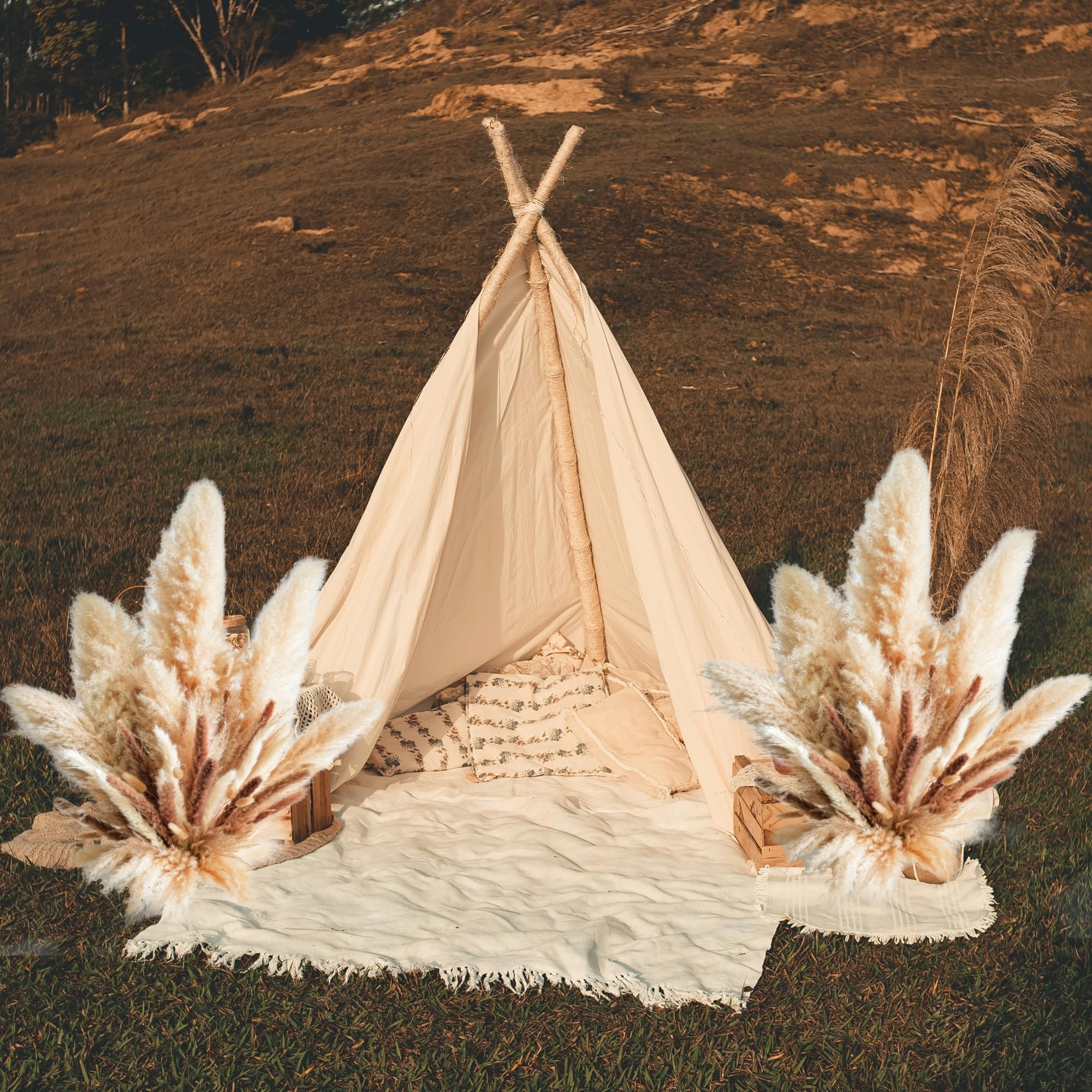 Grande herbe de la pampa décorative pour vase de sol – Grande herbe de la pampa décorative de qualité supérieure, tiges d'herbe de la pampa séchée, herbe de la pampa naturelle avec décoration beige et
