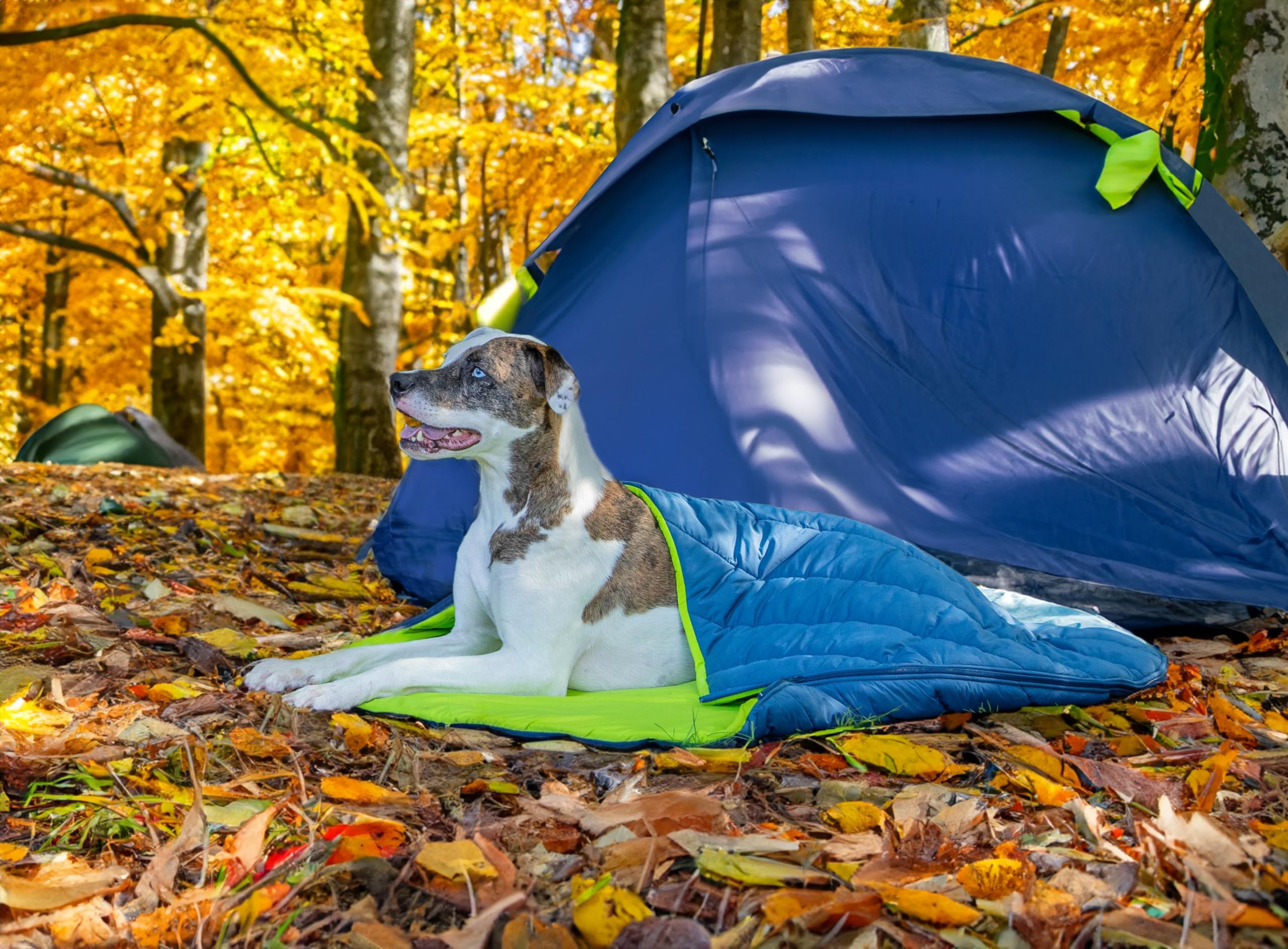 Kurgo Pup Sack, lit de Voyage pour Chien pour l’extérieur, Sac de Couchage pour Animaux de Compagnie pour Le Camping et la randonnée, avec Sac de Rangement, résistant à l’Eau, Tailles 76 cm et 102 cm