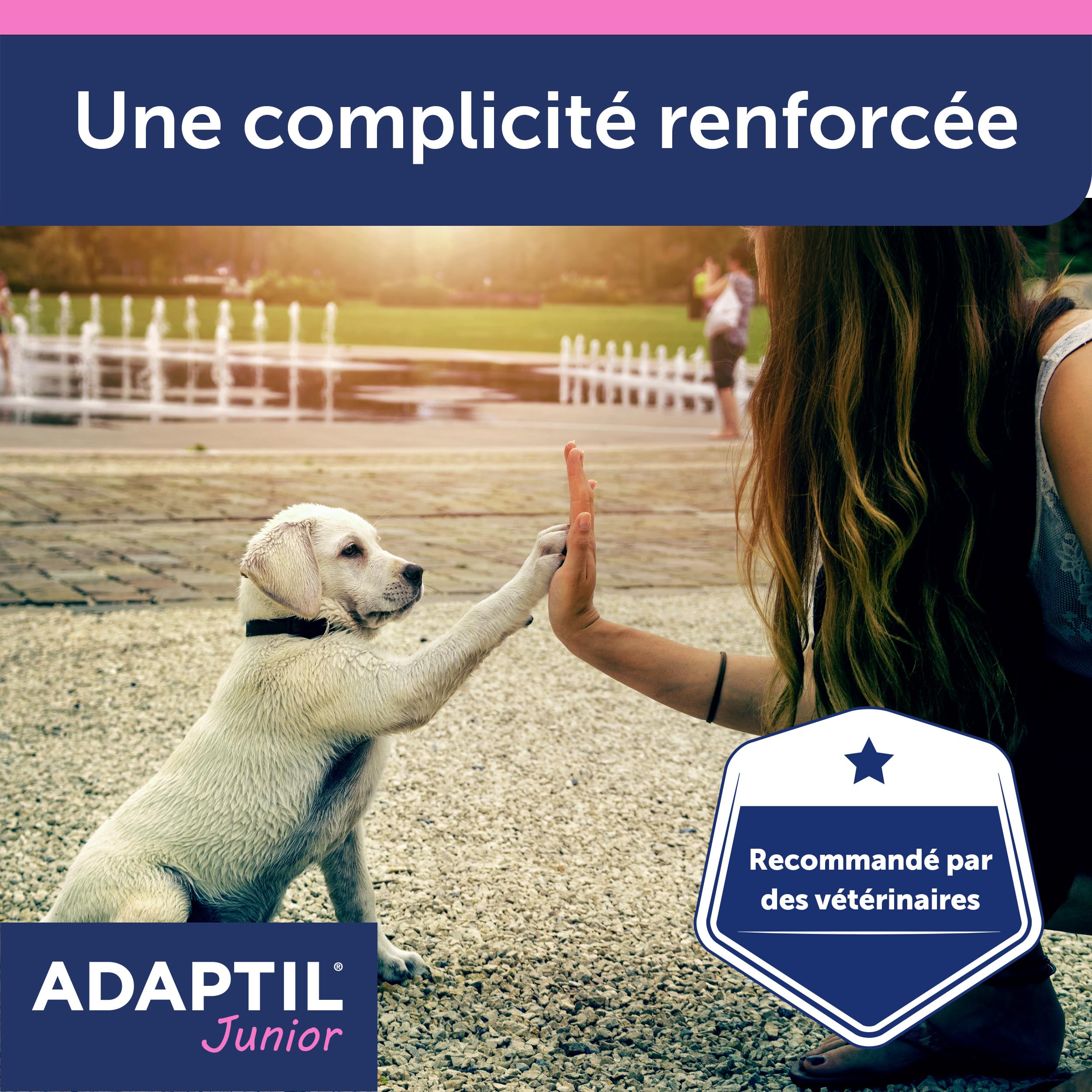 ADAPTIL Junior – Anti-stress pour chien – Collier Pour Chiots