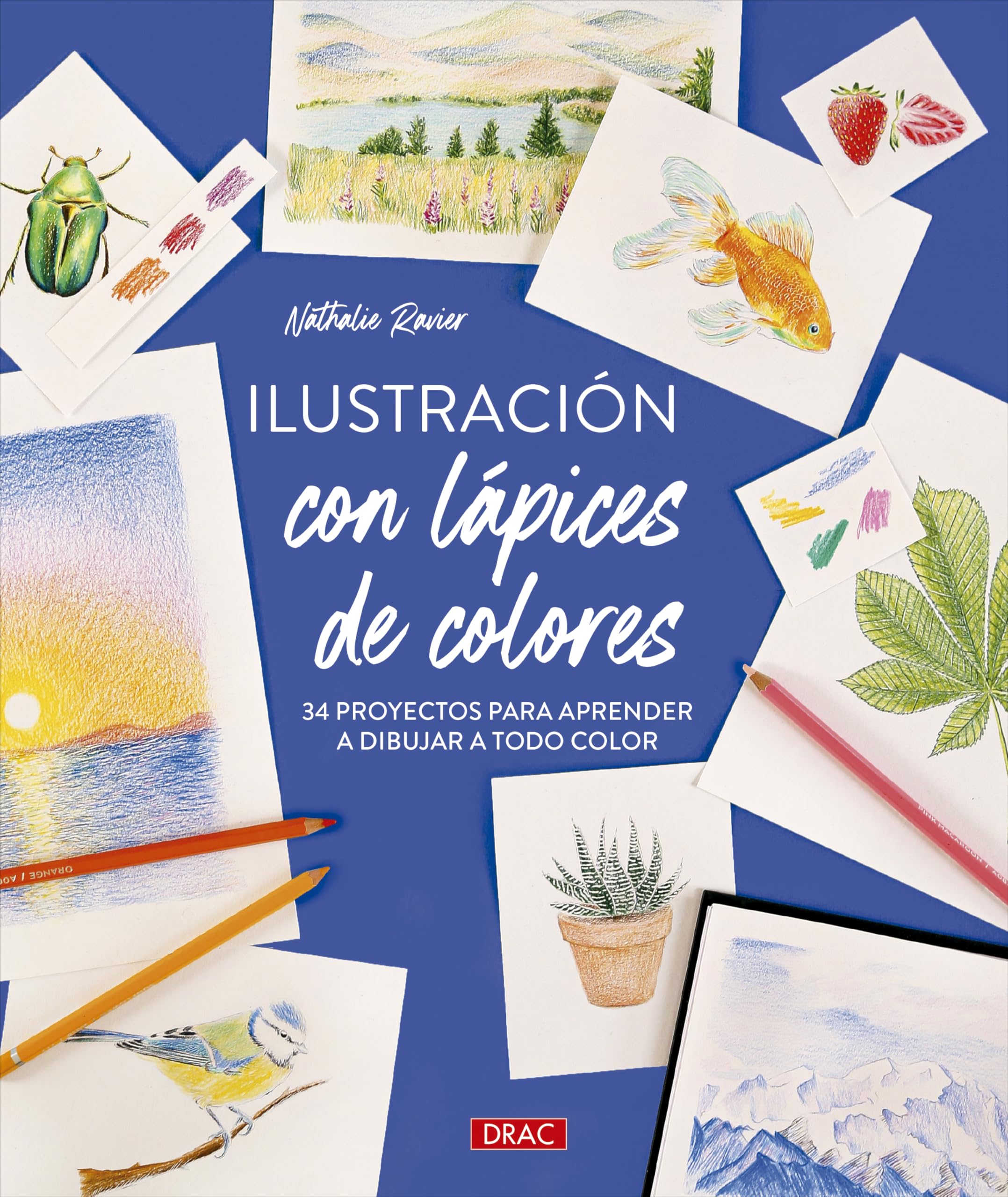 Technique du dessin aux crayons de couleur : 34 projets complets d'illustration