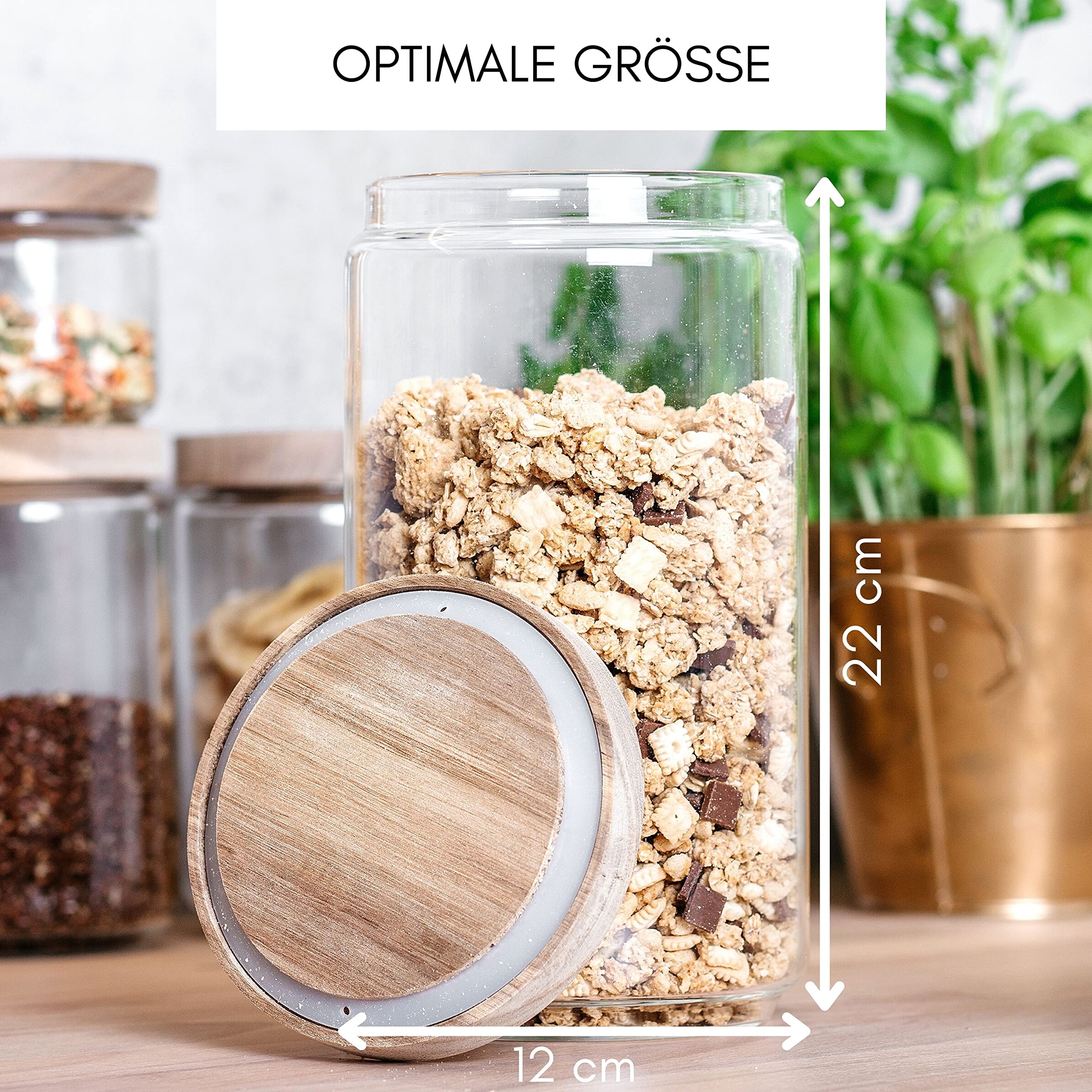 Econovo® Cajas Almacenamiento, Tarros con Tapa XL 2000 ml (2 piezas) de Vidrio de Borosilicato, Juego de Tarros Apilables y Herméticos, Recipientes de Cristal para Alimentos, Grandes y Pequeños