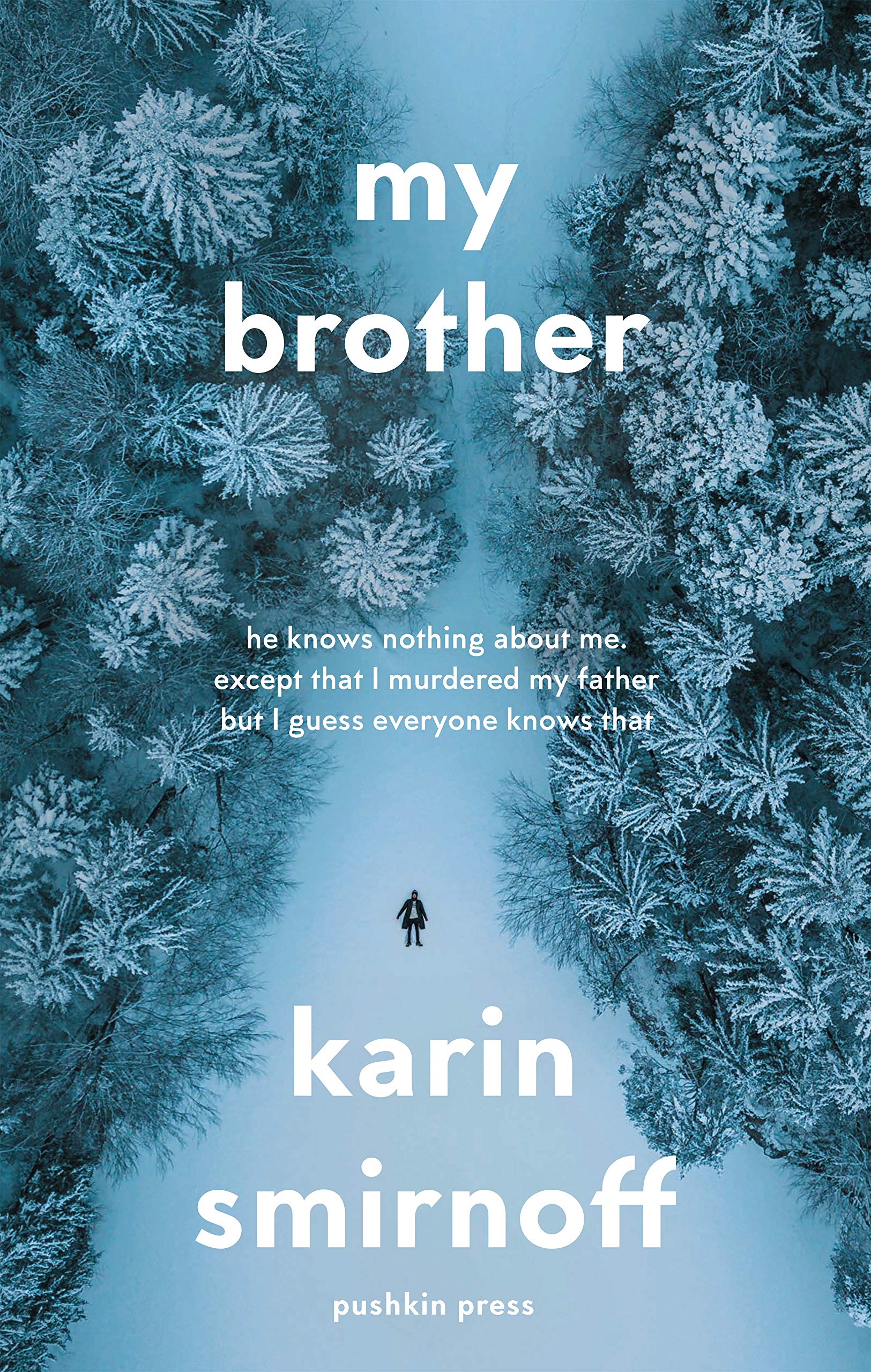 Buy My Brother — BookShops.in