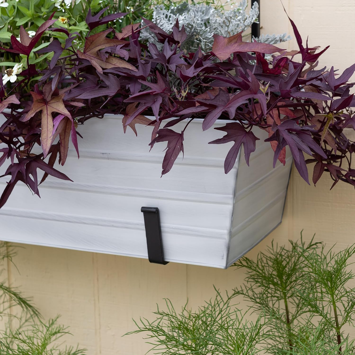 Achla Designs Large White Flower Box with Wall Brackets