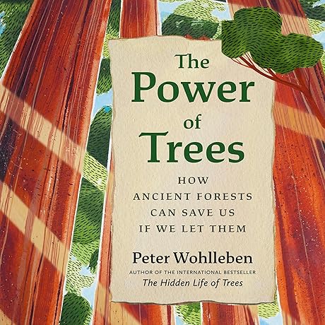 The Power of Trees: Find Hope and Healing in Our Forests