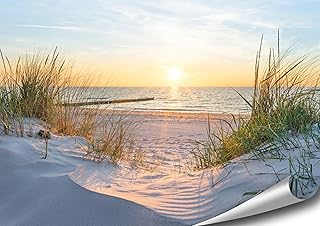 4FINO Poster Mer | Lever de soleil | Plage | Dunes | Images Nature Photo | Décoration Salon Chambre Cuisine | Sans Cadre (Multicolore, 70 cm x 50 cm)