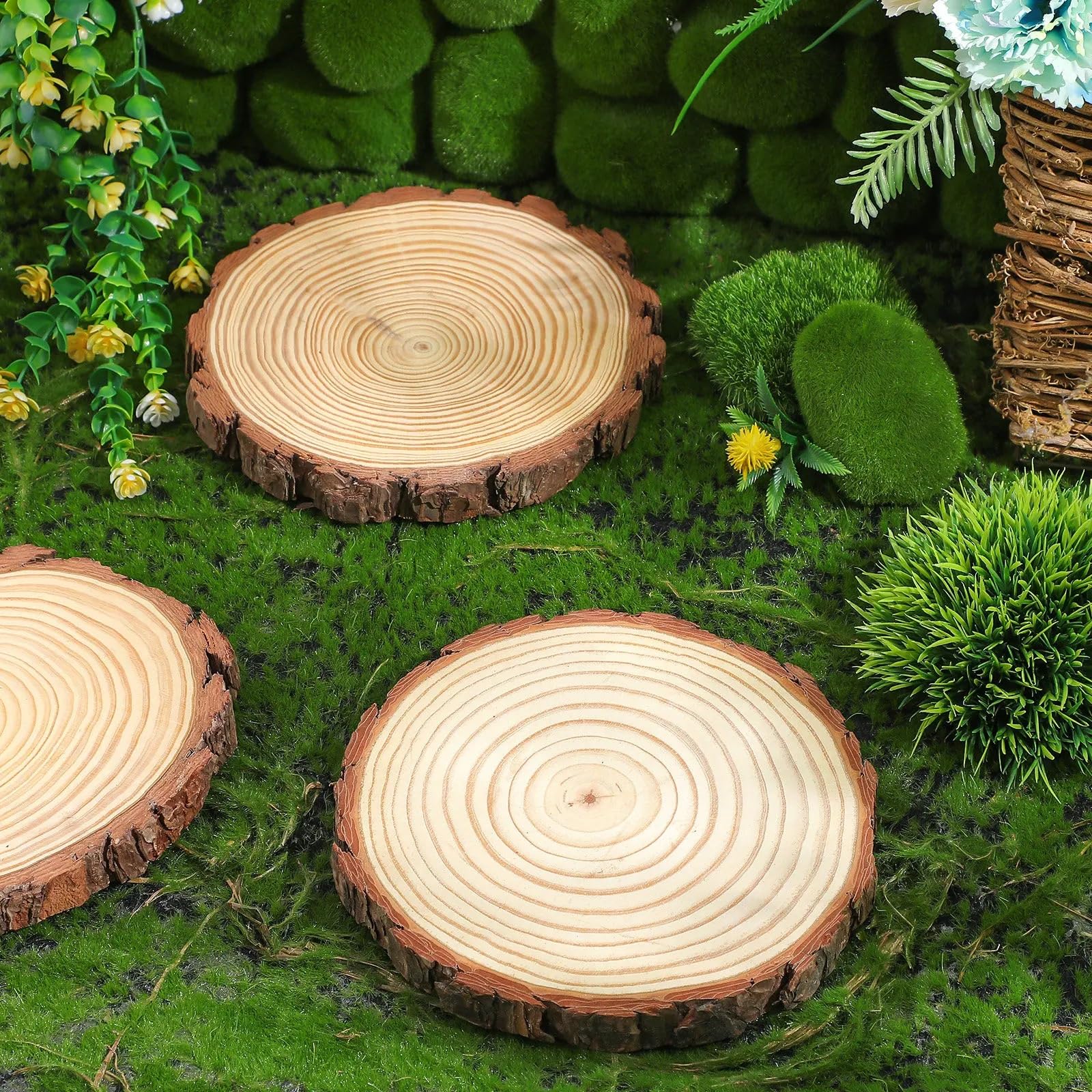 Pas Japonais Jardin Tremplins de jardin en bois 3 pièces
