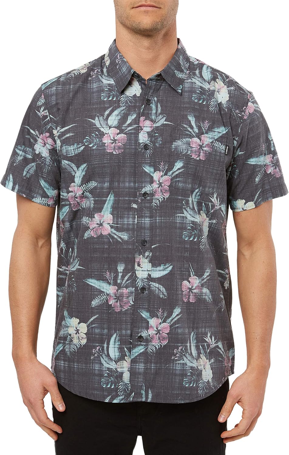 conte / 新品 ＜blurhms for conte＞ プリント Tシャツ blurhms for conte】プリントTシャツ ブラームス プリントTシャツ