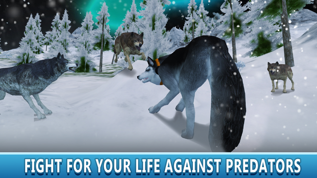 Snow Husky Dog Simulator 3D App on Amazon Appstore