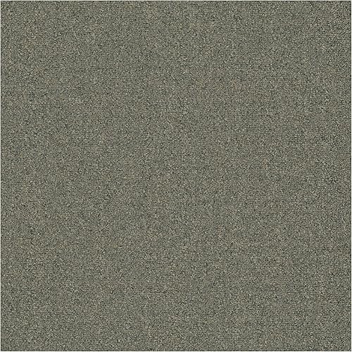 Mohawk Muestra de azulejos de alfombra Advance de 8 "x 8" con fibra de nailon Colorstrand en piedra