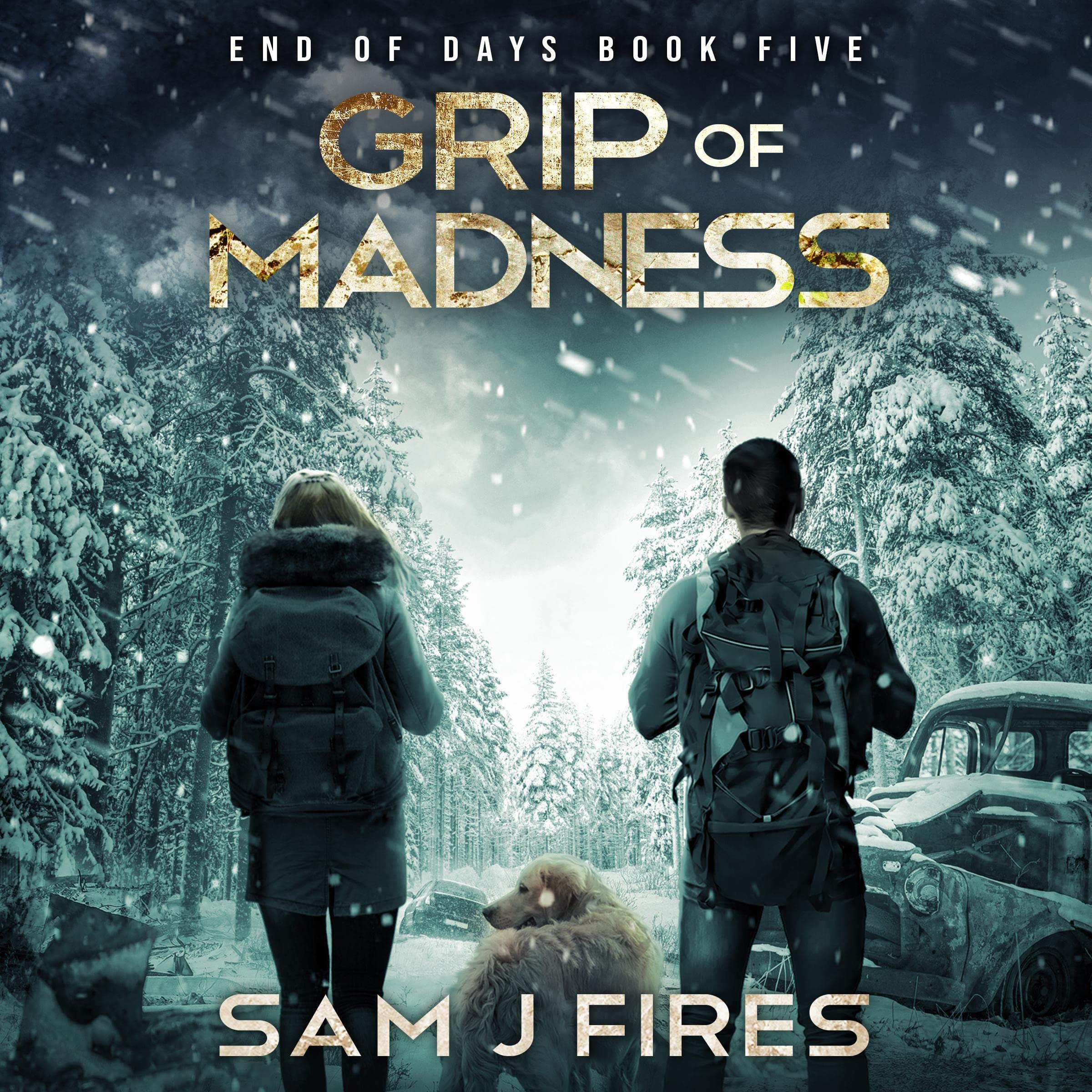 Cover art for Grip of Madness