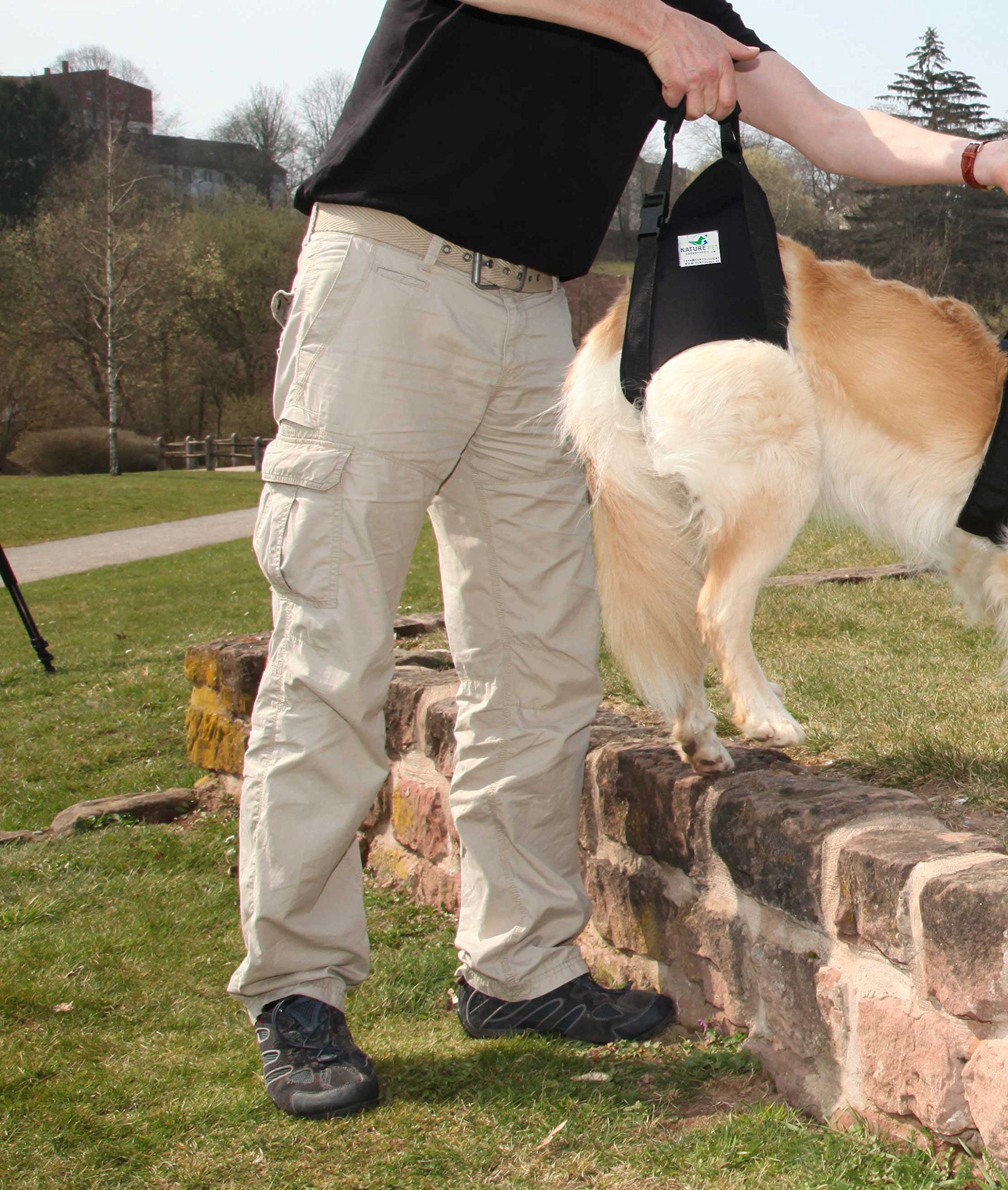 Buy Pfaff Medical Dog Rear Carrier/Dog Lifting Harness/Helping Harness