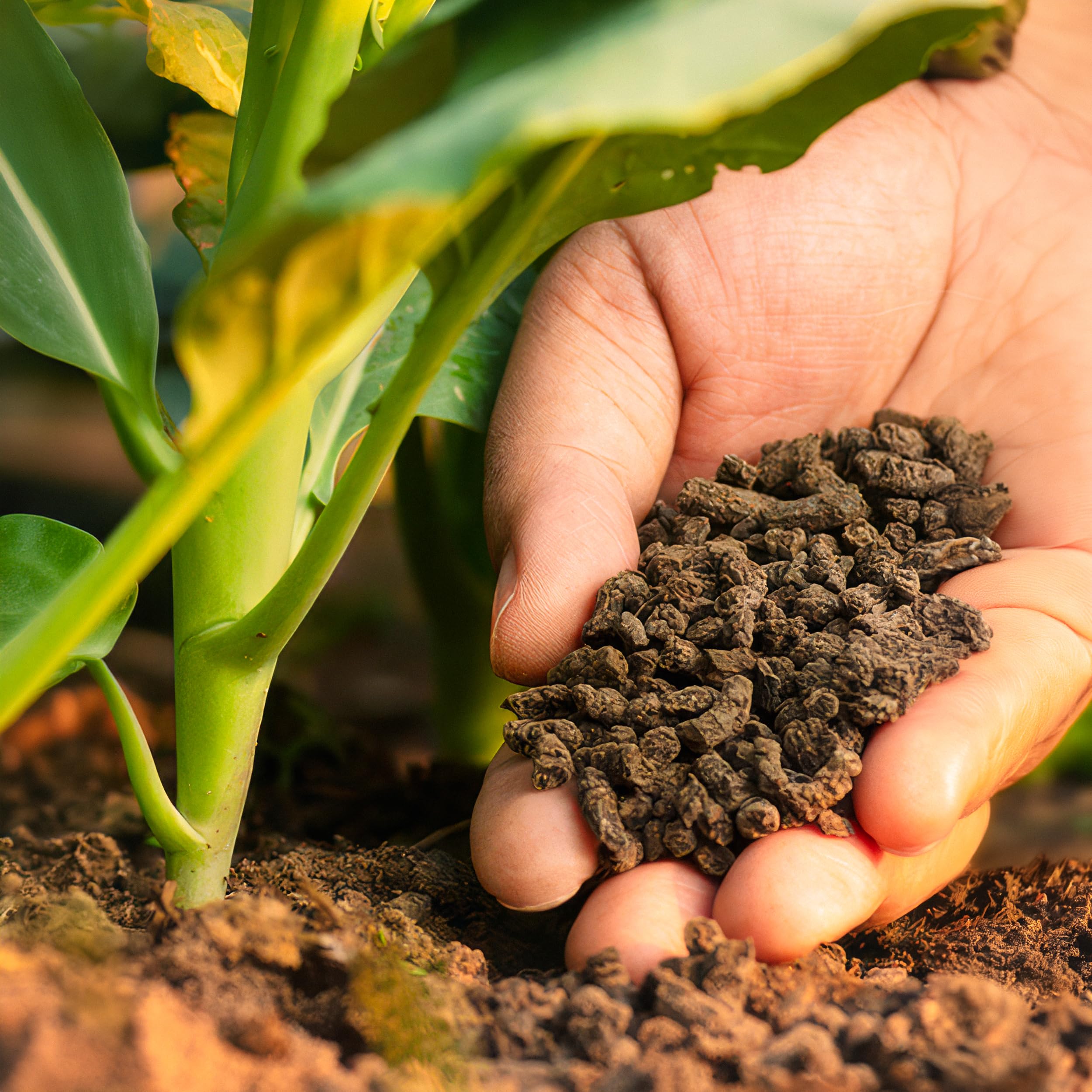 ProfiGreen Rinderdung in Pellets 10,5 kg | Gekrnter Rindermist als Dnger  fr Garten, Rasen und Beete | ideal fr Startdngung, natrlicher  Universaldnger | Rosendnger : Amazon.de: Garten