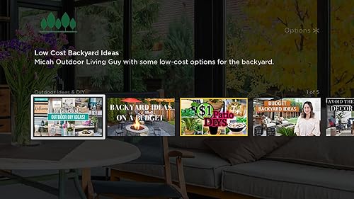 Outdoor Decor And Landscape