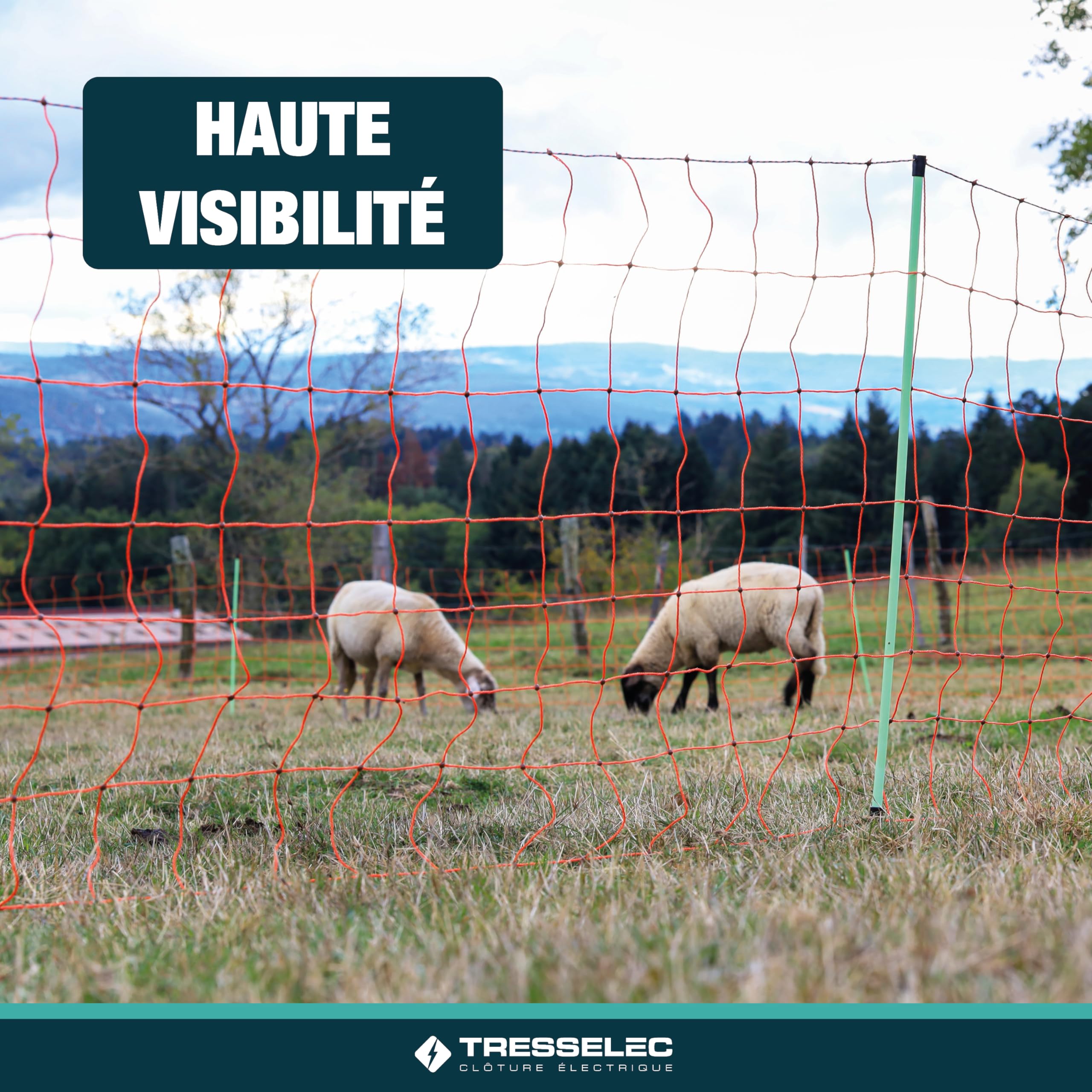 Filet électrifiable 50m - 14 Piquets - Hauteur 88cm - Clôture électrique pour animaux - Solution facile à installer et mobile - Double Pointe - Filet pour mouton, chèvre, poule (Premium)