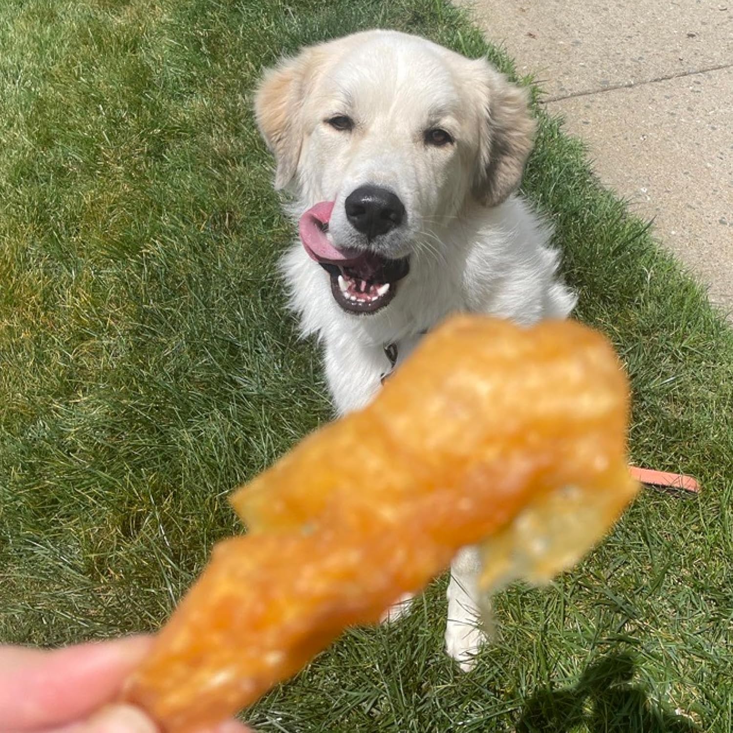 Best Bully Sticks Chicken Fillets, All-Natural Jerky Dog Treats - 24 oz (Pack of 1) Bag of Premium Chicken Strips for Dogs - High-Protein, Limited Ingredient Jerky Treats