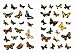 Old-Time Mini Butterflies Stickers (Dover Little Activity Books: Insects)