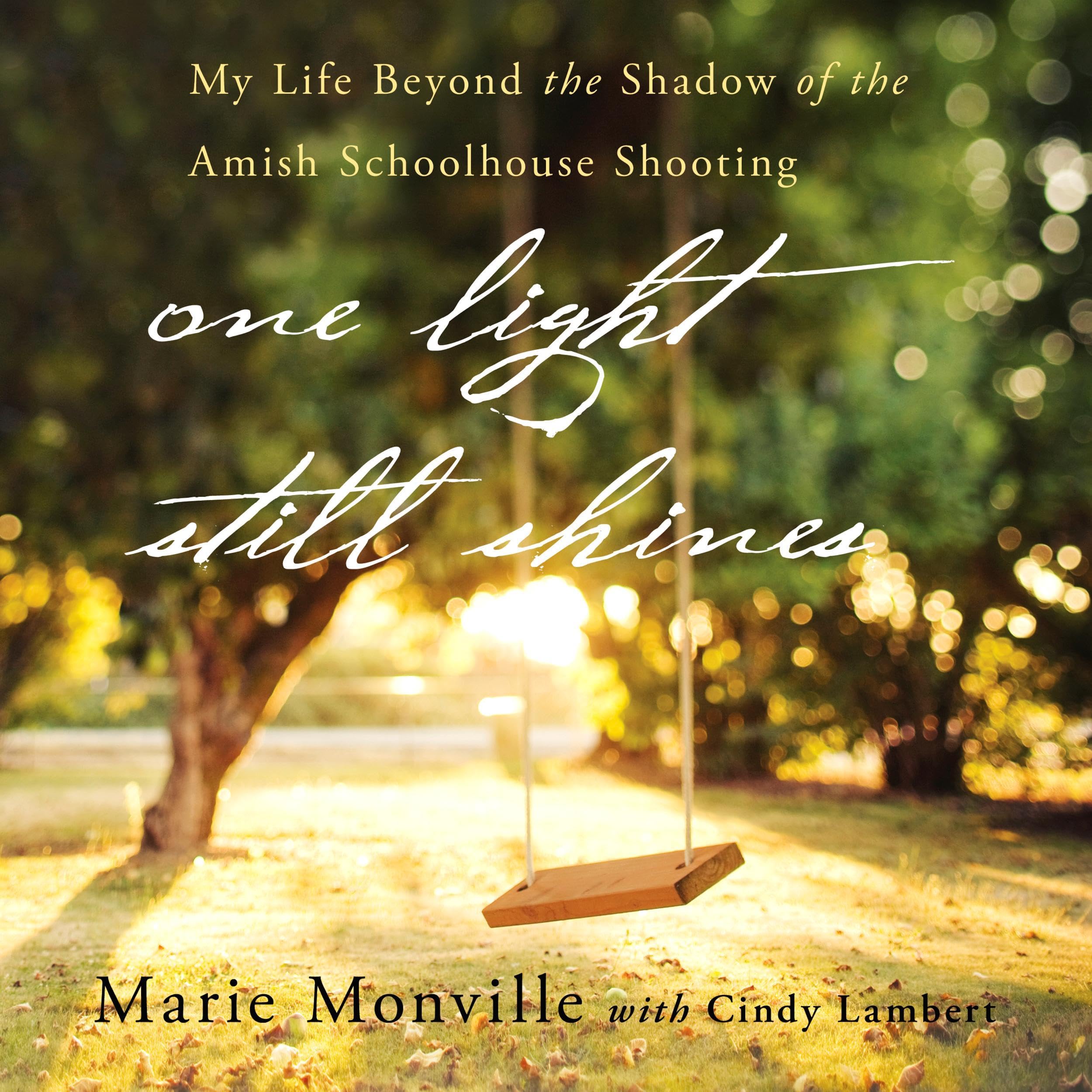 Cover art for One Light Still Shines