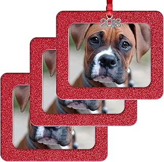 2018 Magnetic Glitter Christmas Photo Frame Ornament with Non Glare Photo Protector, Horizontal - Red, 3-Pack - coolthings.us