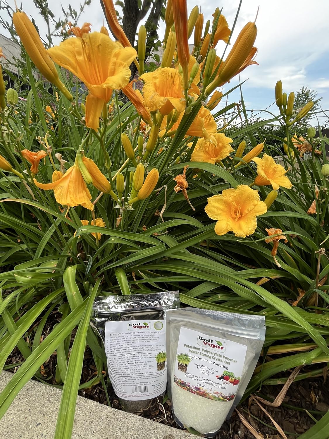 Potassium Polyacrylate Super Absorbent Crystals | Reduces Watering for Garden & Houseplants | Water Storing Soil Amendment Lasts 7 Years (5)
