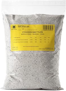Resistant Meadow Seeds, Cynodon Dactylon, US Origin, Hot Resistant & Dry, Walkable (900g-90m2)