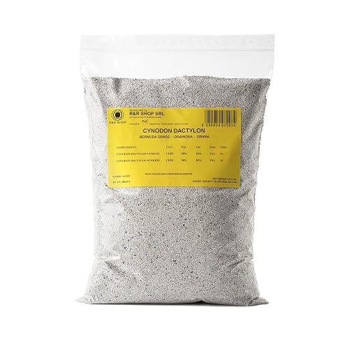 Graines pour Gazon Résistant,Cynodon Dactylon, Origine USA, Résistant à la