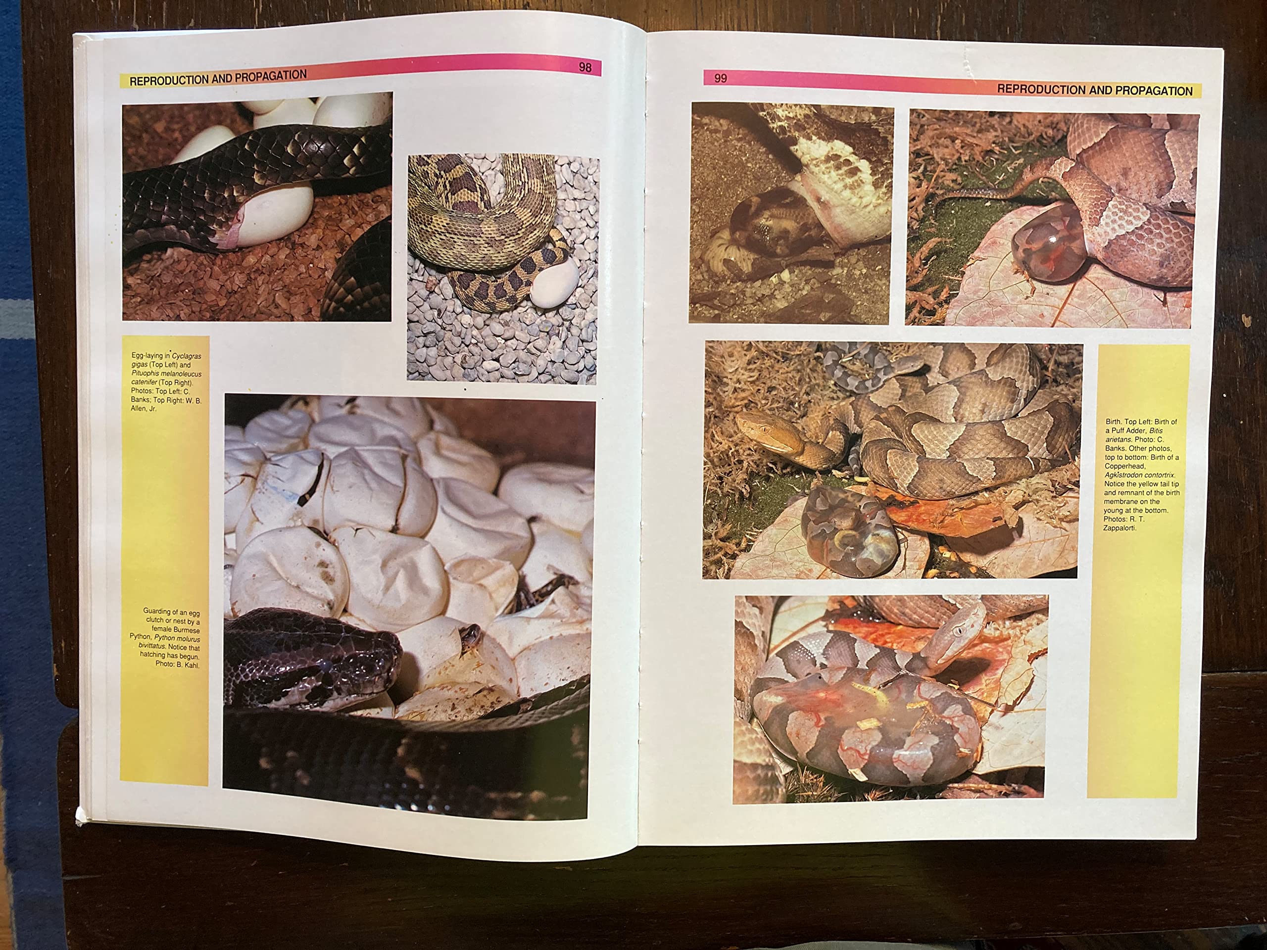 The Atlas of Snakes of the World