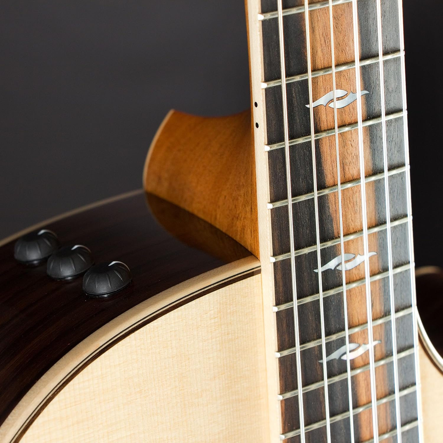 Taylor 814ce-N Grand Auditorium Cutaway Nylon-String - Natural Sitka Spruce Top