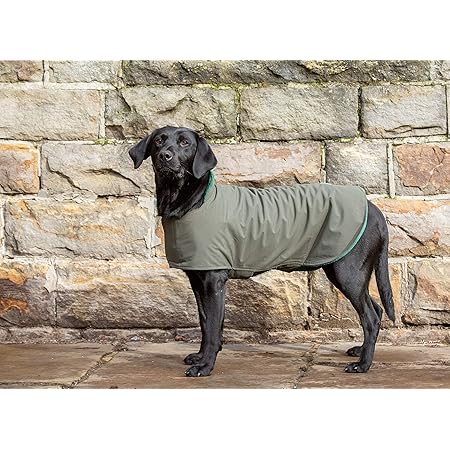 dog field jacket
