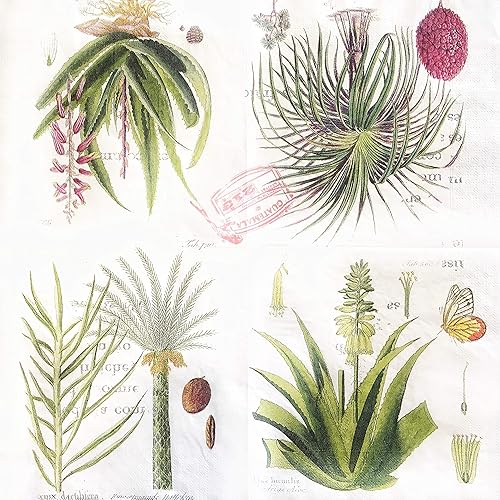 Vista 36 de Zelten Servilletas de papel de colores (rosa telar)