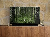 Vista 9 de Sonos Arco (Gen 1) - Negro